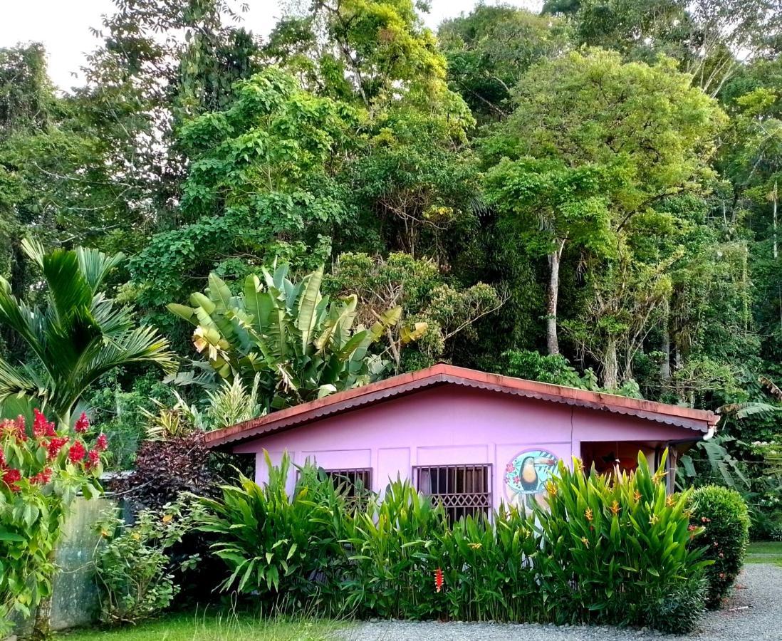 Casa Alegra Διαμέρισμα Puerto Viejo de Talamanca Εξωτερικό φωτογραφία